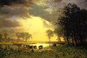 Albert Bierstadt The_Buffalo_Trail oil painting picture wholesale